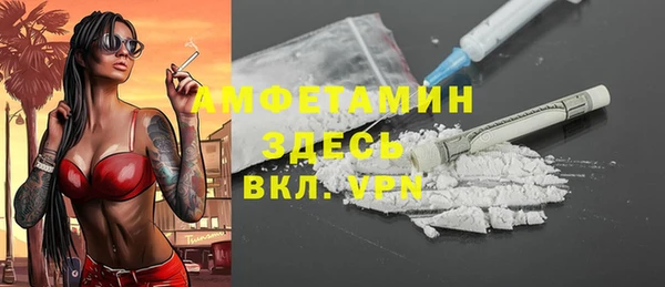шишки Заволжск