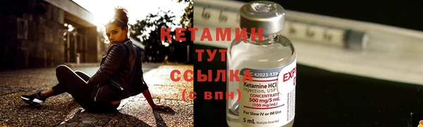 шишки Заволжск