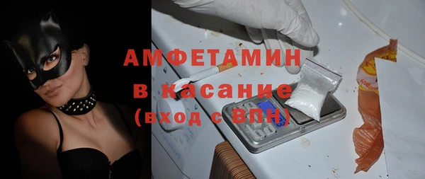 шишки Заволжск