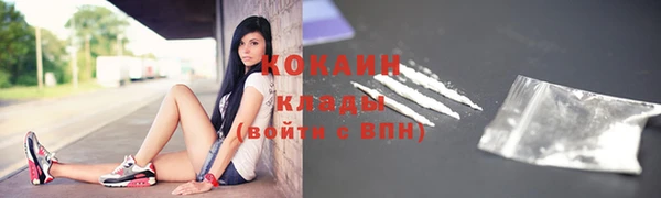 шишки Заволжск
