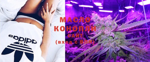 шишки Заволжск
