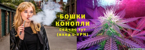 шишки Заволжск