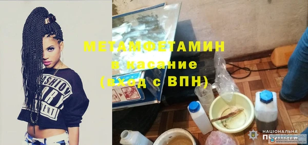 шишки Заволжск