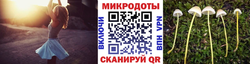 Купить где Кудрово Псилоцибиновые грибы GOLDEN TEACHER